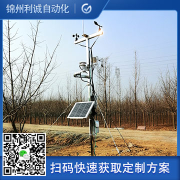 小型好色先生APP下载