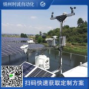 哪裏有專業好色先生APP下载