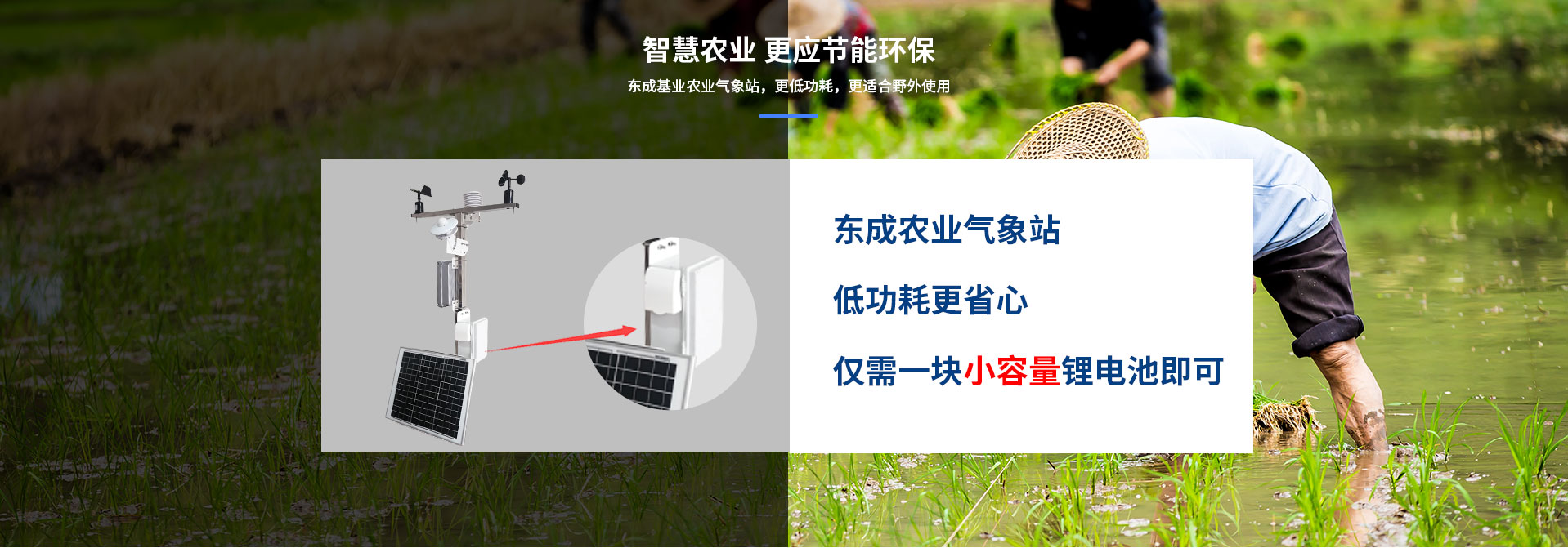 農業好色先生APP下载