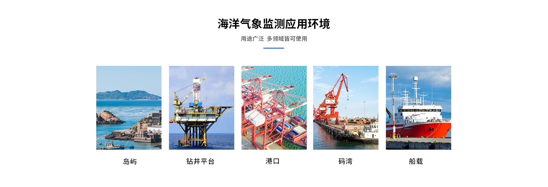 海洋好色先生APP下载