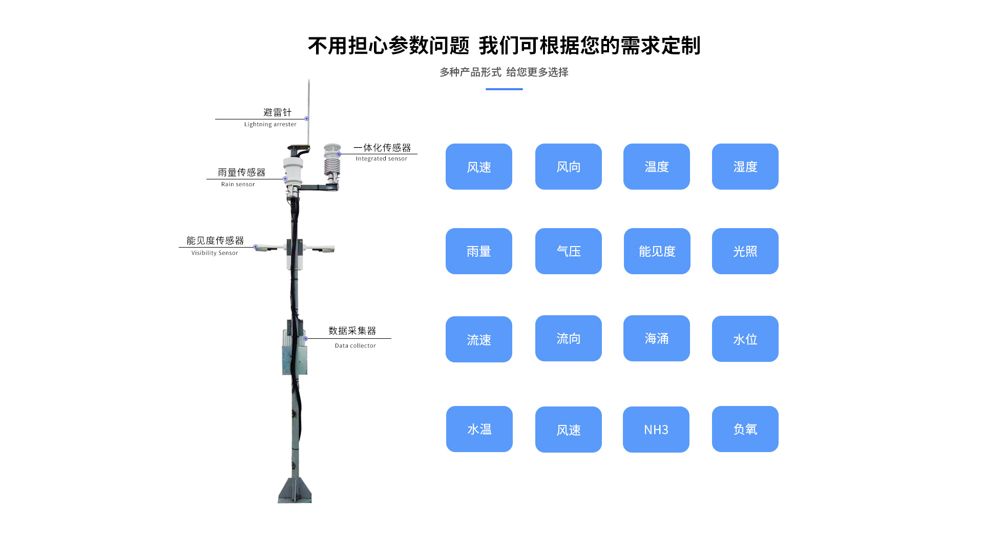海洋好色先生APP下载